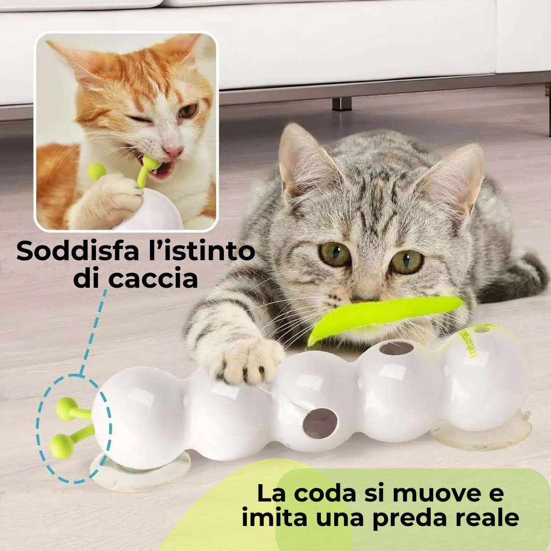 WhiskerPlay™ – Il gioco che il tuo gatto non riuscirà a ignorare